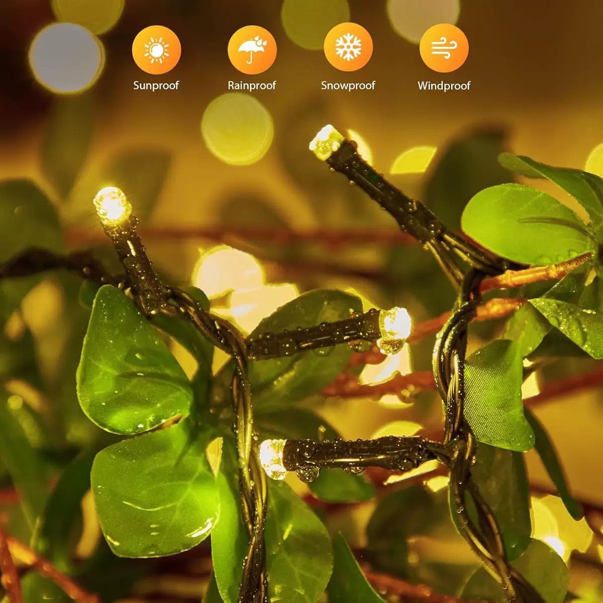 FestiLuz Solar - Luces solares festivas, sin cables ni cuentas de luz