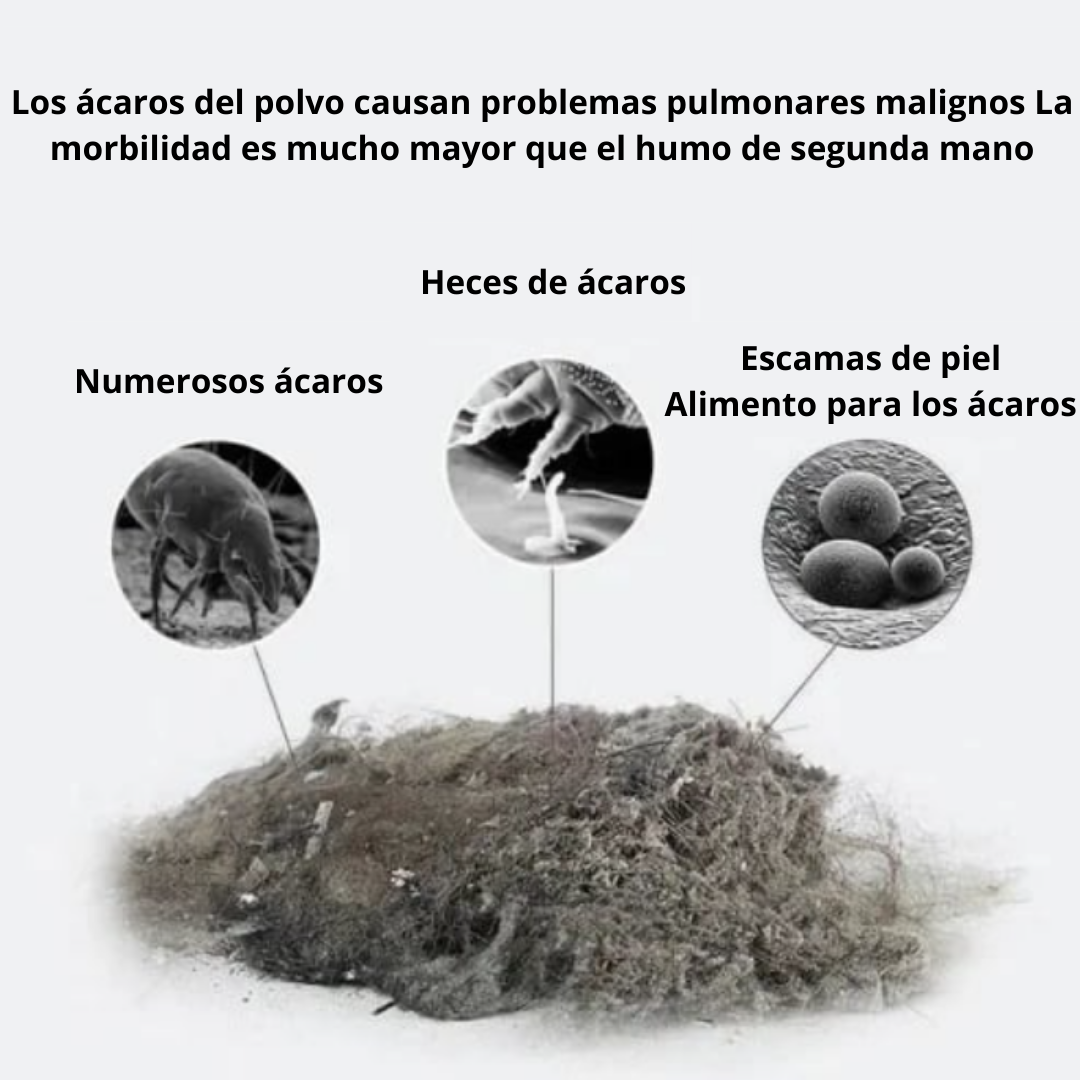 Aspiradora Anti ácaros Portátil – Elimina el 99.9% de los ácaros en 5 minutos