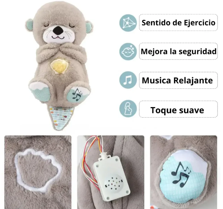 CalmaNutria™ – Relajación sensorial que calma cuerpo y mente