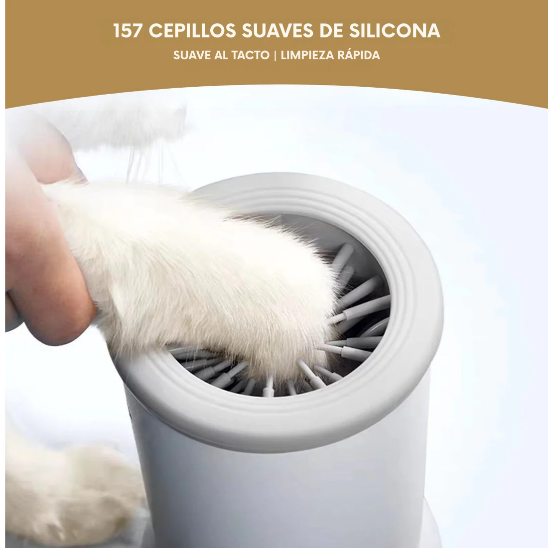 Spa Patitas - Mantén a tu mascota impecable